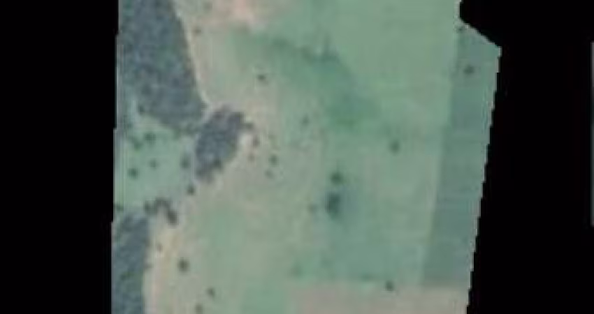Fazenda para venda na região de Tanabi-SP, com 45 alqueires todo em pasto, 3 casas boas, curral, poço artesiano e córrego na propriedade
