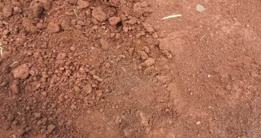 Fazenda para venda na região de Batatais-SP, com 169  alqueires sendo 100 alqueires em cana arrendada, rica em agua