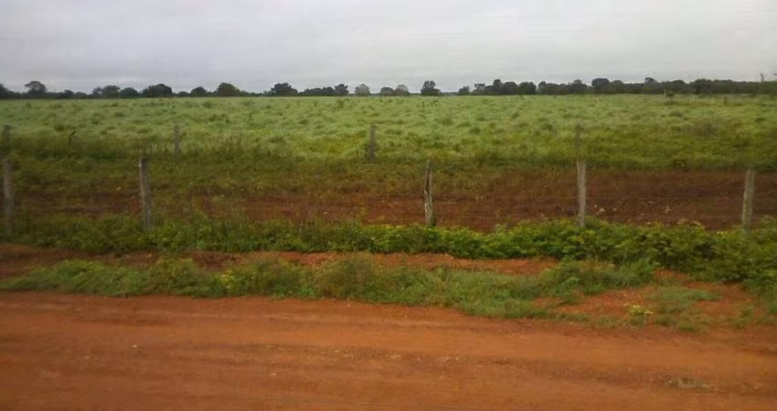 Fazenda para venda na região de Novo Planalto-GO com 1.980 hectares montada na pecuária, rica em agua, beira do asfalto e muitas benfeitorias