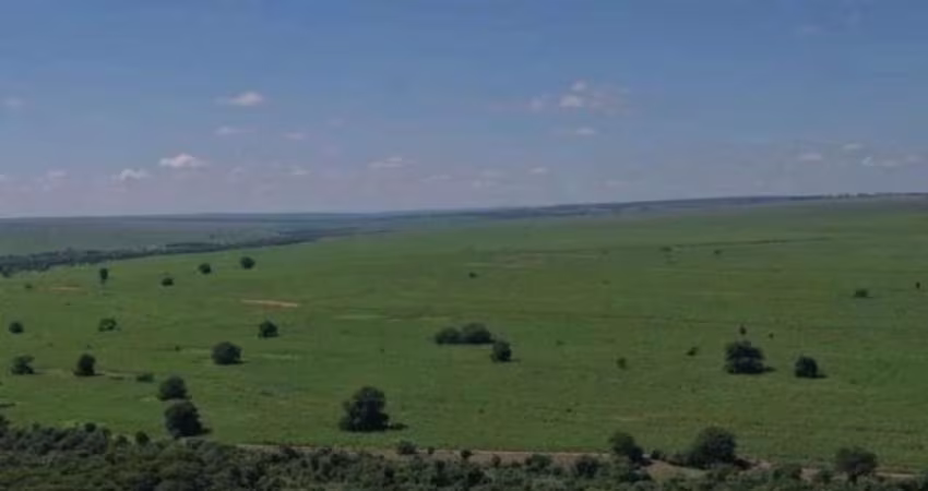 Fazenda para venda na região de Rosana-SP com 660 alqueires sendo 490 alqueires em cana mais pastagem, beira do Rio e benfeitorias