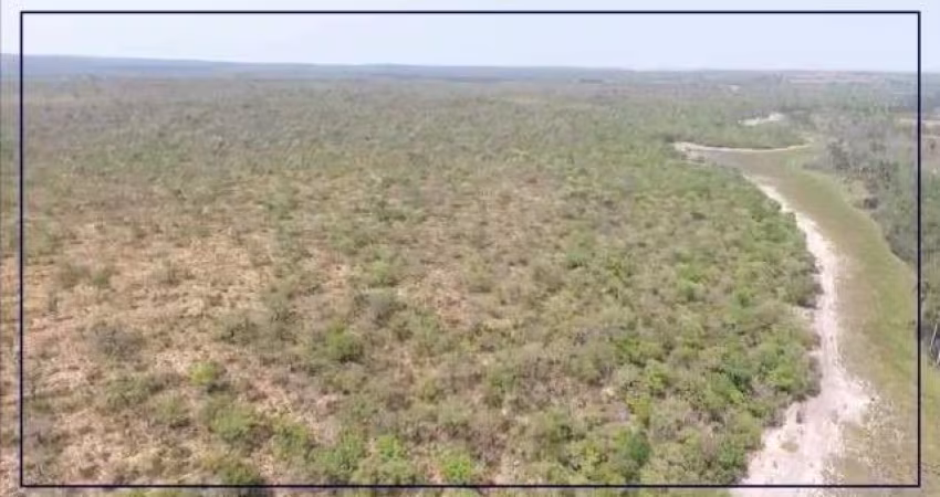 Fazenda dupla aptidao para venda na região de Alvorada do Norte-GO com 505 hectares, boa de agua, energia trifasica