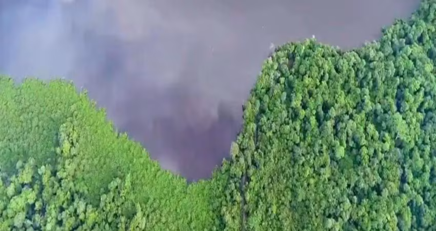 Fazenda dupla aptidão para venda na região de britania-go com 13.100 hectares sendo 8.500 hectares em pastagem aberta, beira do araguaia, muitas benfe