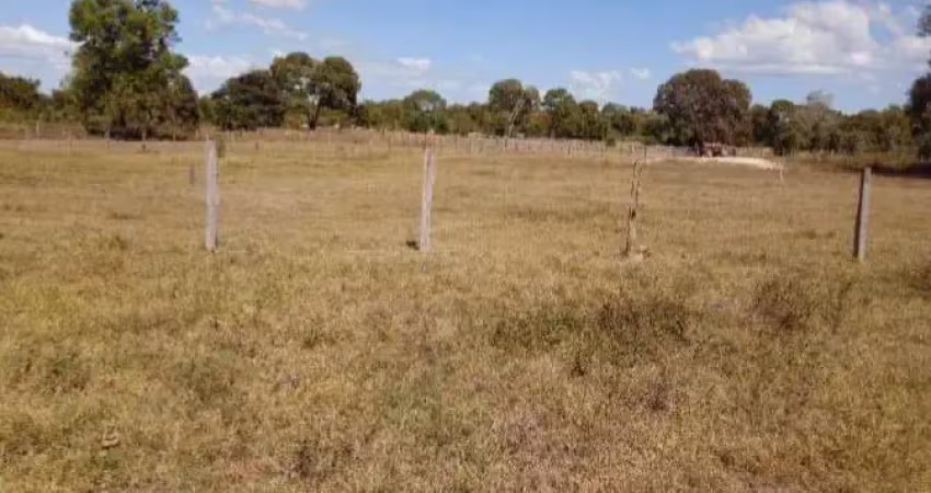 Fazenda para pecuária a venda na região de nova nazare-mt com 9.500 hectares em pastagem para 2.400 cabeças, beira do rio ararguaia, benfeitorias