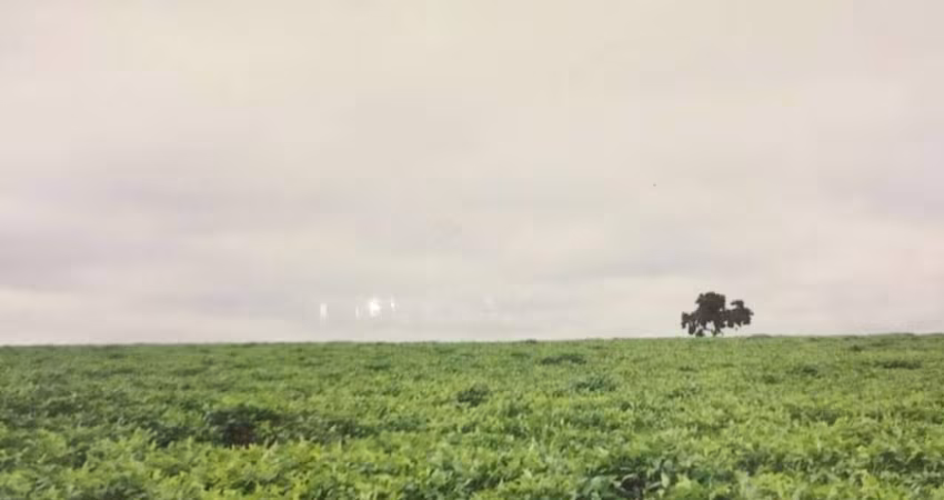 Fazenda para venda na região de Ituiutaba-MG com 200 hectares sendo 185 hectares em cana arrendada, plana, boa altitude, corrego na divisa, proxima da
