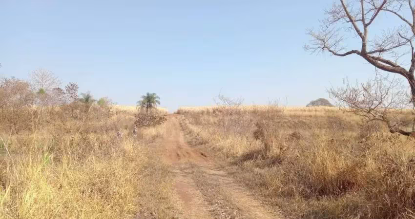 Fazenda para venda na região de barretos-sp, com 131 alqueires, pode plantar 90 alqueires em cana arrendada, divisa com rio
