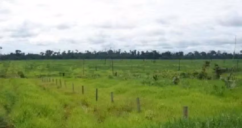 Fazenda grande extensão a venda na região de aripuana-mt com 141.000 hectares sendo 13.000 hectares em pastagem, rica em agua e benfeitorias