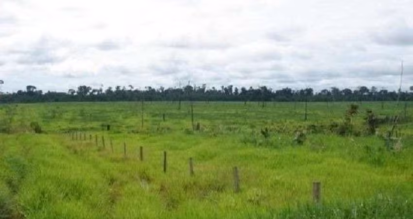 Fazenda grande extensão a venda na região de Aripuana-MT com 141.000 hectares sendo 13.000 hectares em pastagem, rica em agua e benfeitorias