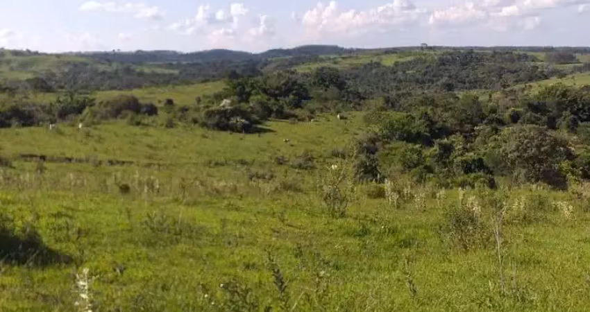 Fazenda para venda na região de pirajui-sp com 73 alqueires na pecuaria, boa de agua, casa sede e mangueira, 15 km da cidade, vende desmembrado