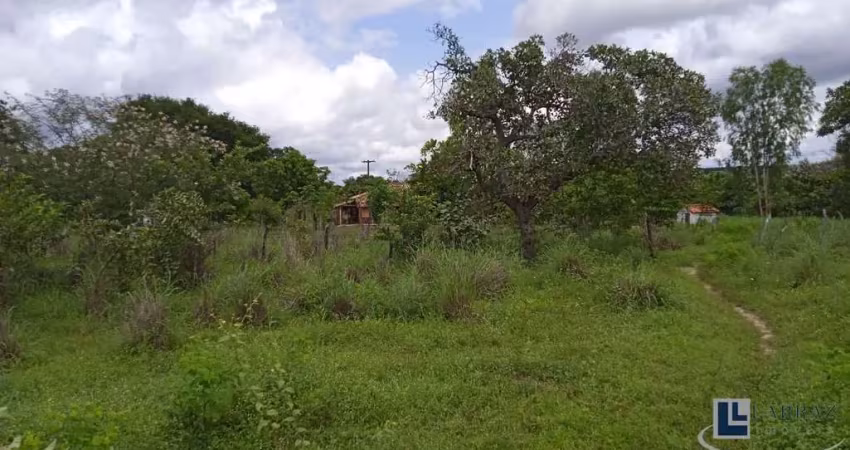 Sitio dupla aptidão para venda em floriano-pi com 70,5 hectares, atual na pecuária, terra boa para lavoura, beira do asfalto, benfeitorias, agua