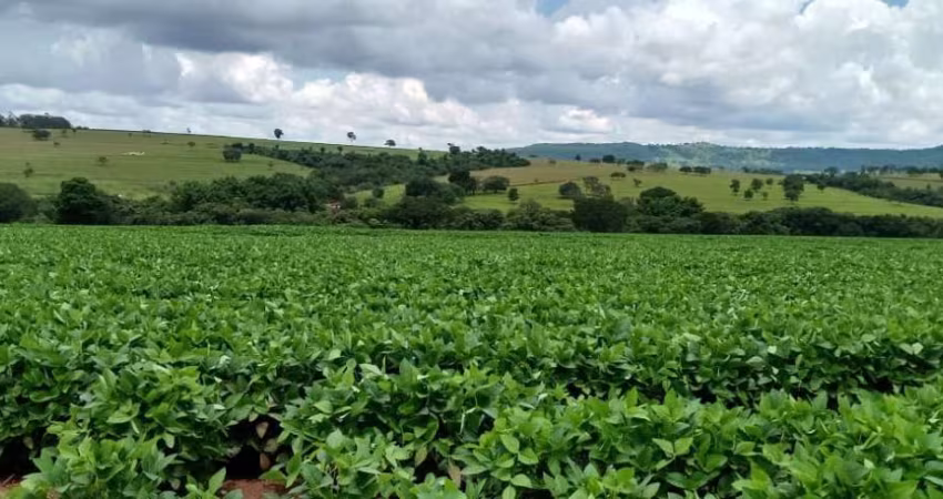 Fazenda para venda na região de Cafelandia-SP com 120 alqueires sendo 100 alqueires em soja arrendada, rio na divisa