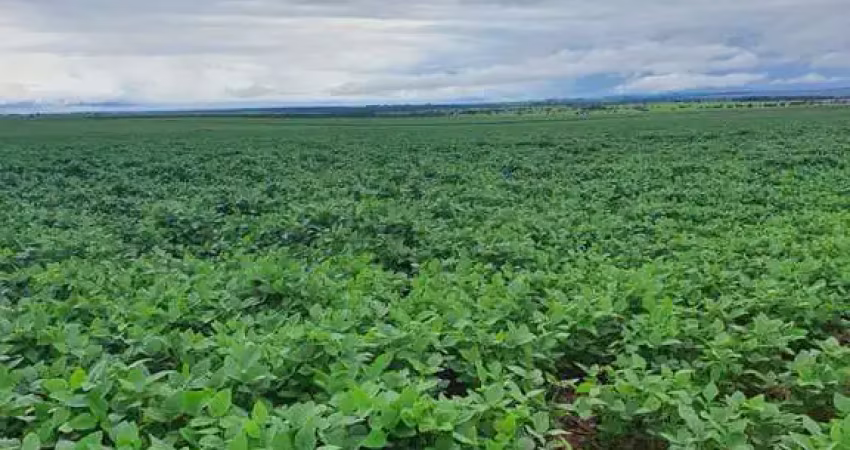 Fazenda para venda na região de itaja-go com 798 hectares na soja, área ideal para lavoura, colhe safrinha, altitude 780 m