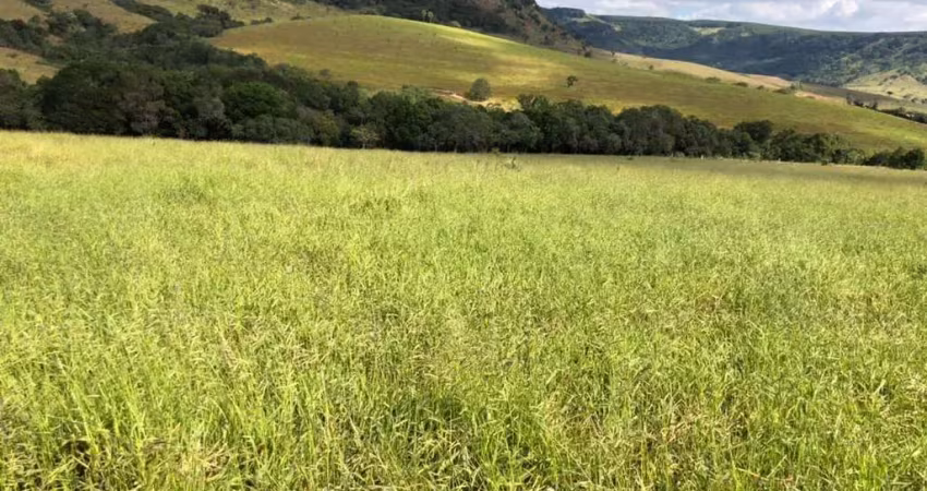 Sitio para venda na região de são carlos-sp com 33 alqueires, 80% aproveitamento pecuária ou eucalipto, 60% aproveitamento para lavoura, boa de agua
