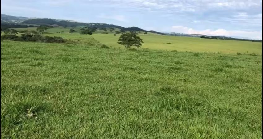 Fazenda para venda na região de Marilia-SP com 225 alqueires montada na pecuária, beira da rodovia