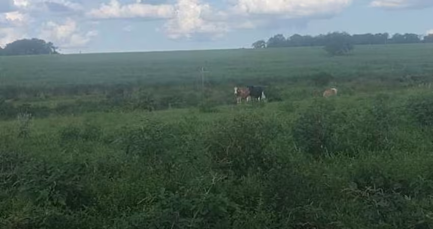 Fazenda dupla aptidão para venda na região de Fernandopolis-SP com 94 alqueires sendo 74 alqueires agricultáveis, rica em agua e muitas benfeitorias
