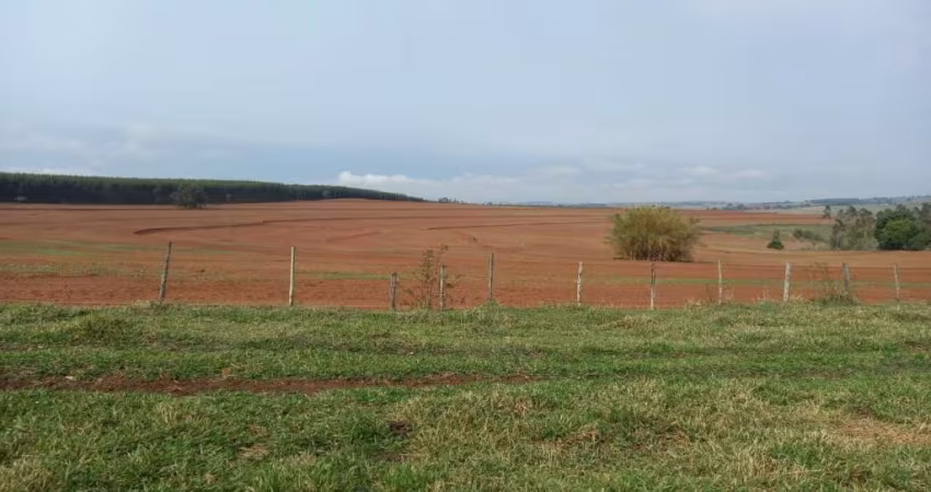 Fazenda dupla aptidao para venda na região de Marilia-SP com 142 alqueires, eucalipto, mandioca, amendoim e pastagem
