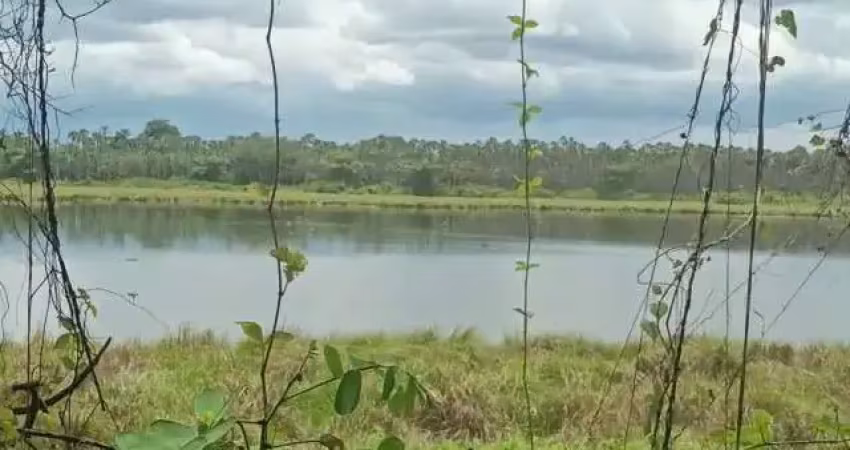 Fazenda para venda na regiao manoel emidio-pi com 1.650 hectares, fazenda bruta, sem área consolidada