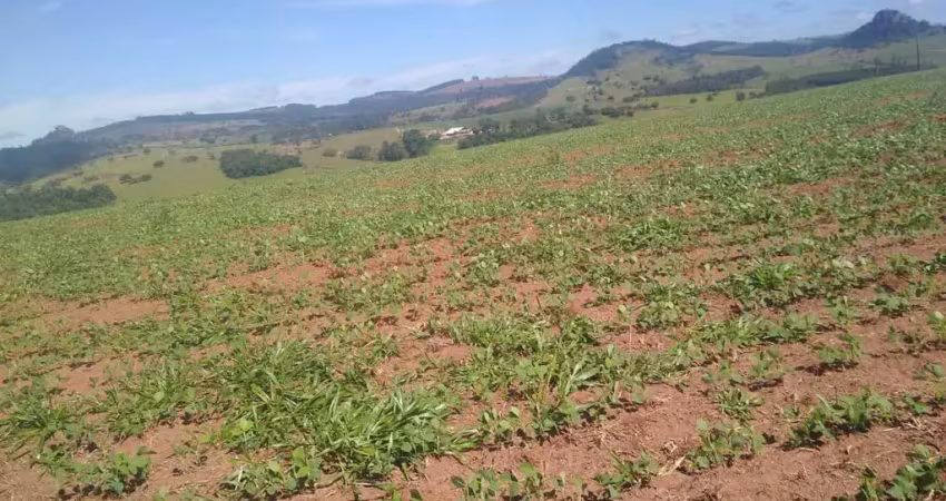 Fazenda para venda na região de piraju-sp com 94 alqueires terra vermelha, 38 alqueires em soja restante pecuária, benfeitorias