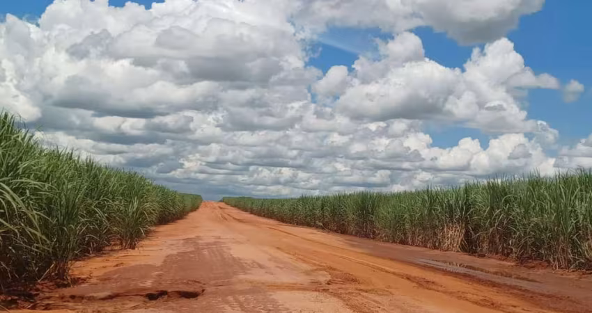 Fazenda para venda na região de Junqueiropolis-SP com 265 alqueires sendo 220 alqueires em cana arrendada, próxima da Usina, sem benfeitorias