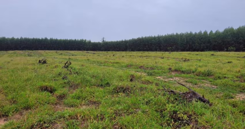 Sitio para venda em Santa Rosa do Viterbo-SP com 20 alqueires em pastagem, planta 18 alqueires
