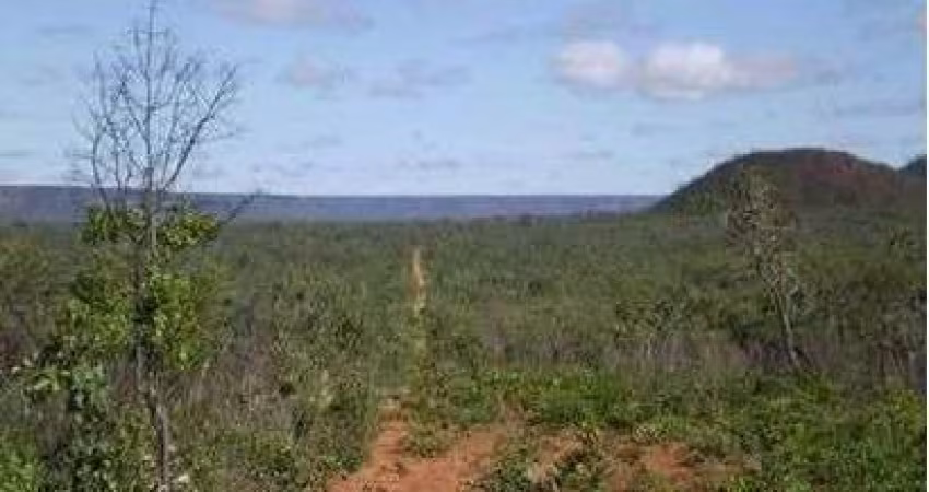 Fazenda para venda na região de Formosa do Rio Preto-BA com 12.500 hectares, logística excelente, região nobre para lavoura