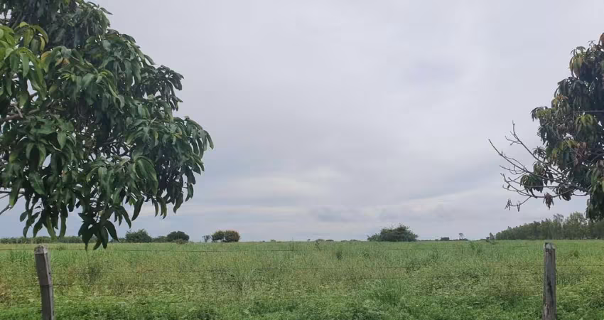 Fazenda dupla aptidão para venda na região de Morpara-BA com 11.500 hectares, atual na pecuária, rica em agua, muitas benfeitorias, porteira fechada