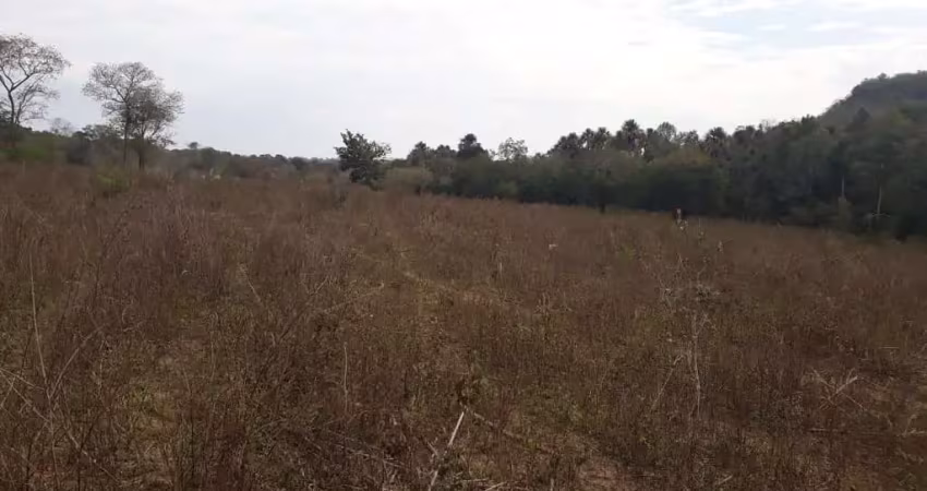 Fazenda para venda na região de rochedo-ms com 210 hectares em braquiara, rica em agua com 2 corregos, sem benfeitorias
