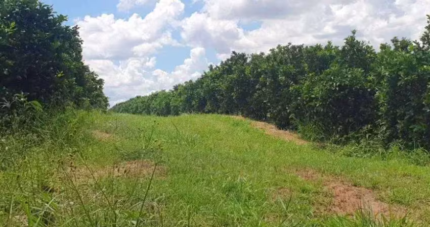 Fazenda para venda na região de brotas-sp com 68 alqueires em citrus, rica em agua, muitas benfeitorias, beira do asfalto