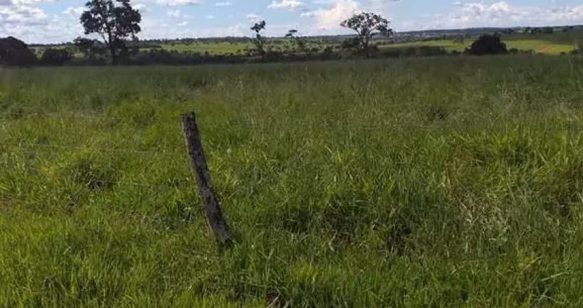 Fazenda para venda na região de iturama-mg com 992 hectares montada na pecuária, benfeitorias, rica em agua, pode rodar pivo