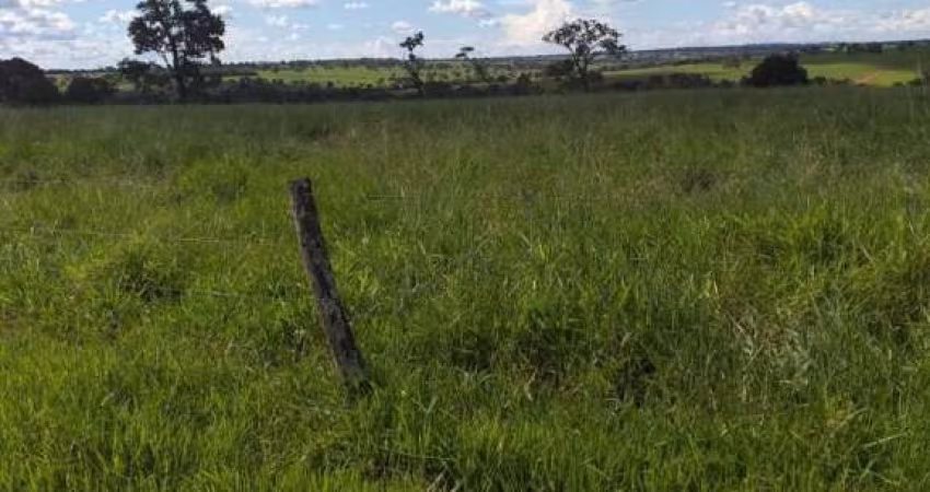 Fazenda para venda na região de Iturama-MG com 992 hectares montada na pecuária, benfeitorias, rica em agua, pode rodar pivo