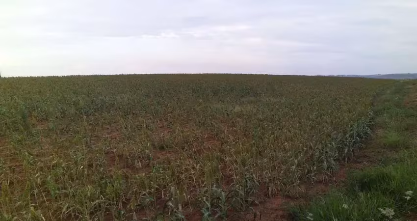 Fazenda dupla aptidao para venda na região de tupa-sp com 40 alqueires, próxima da cidade, sem benfeitorias, planta 20 alqueires