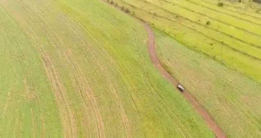 Fazenda dupla aptidão para venda na região de piraju-sp com 1.120 alqueires, planta 580 alqueires, restante em pasto