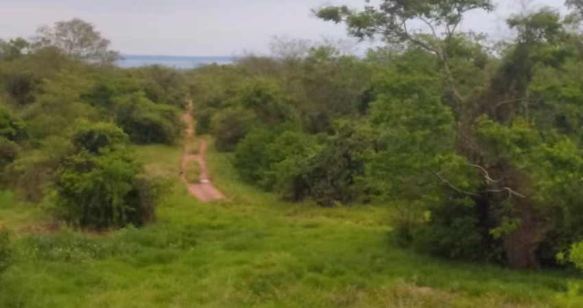Fazenda para venda na região de Presidente Venceslau-SP com 86 alqueires montada na pecuária com benfeitorias completas