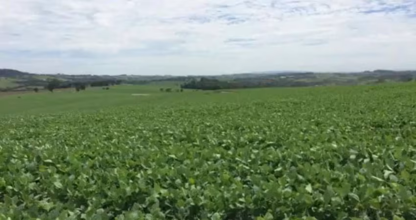 Fazenda para venda na região de itapetininga-sp com 47 alqueires sendo 40 alqueires plantados em soja, boa de agua, córrego na propriedade