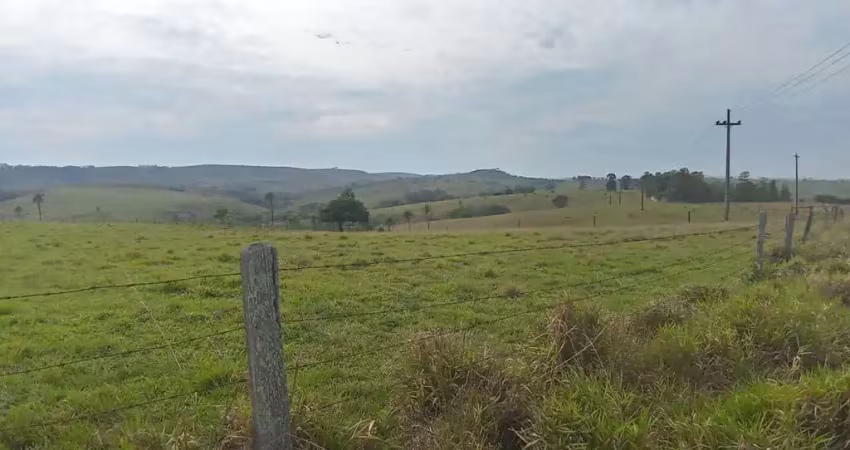 Fazenda para venda na região de cel macedo-sp com 198 alqueires montada na pecuária, varias benfeitorias, boa de agua, porteira fechada