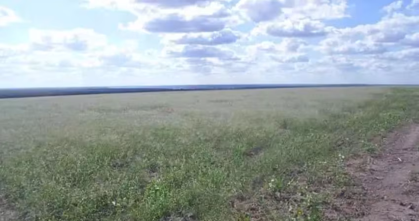 Fazenda para venda na regiao de bom jesus-pi com 1.299  hectares, sendo 200 hectares abertos para lavoura, benfeitorias