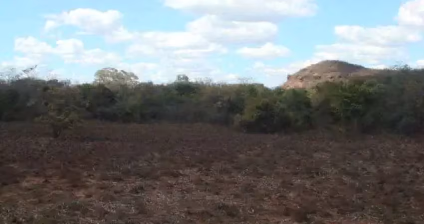 Fazenda grande extensão para venda na região de parnagua-pi com 16.900 hectares total, parte em pastagem, muita madeira, rica em agua e benfeitorias