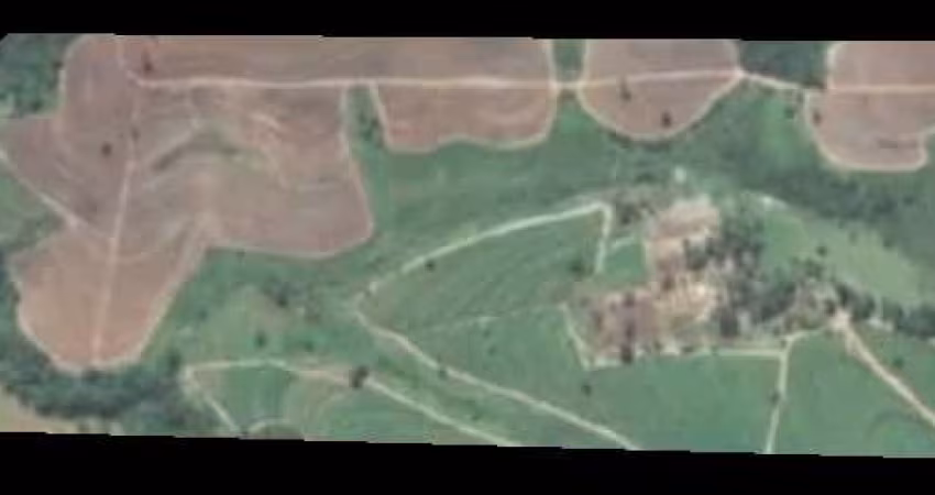 Fazenda para venda na região de Arçatuba-SP com 43 alqueires sendo 25 alqueires em cana, restante em pastagem, benfeitorias