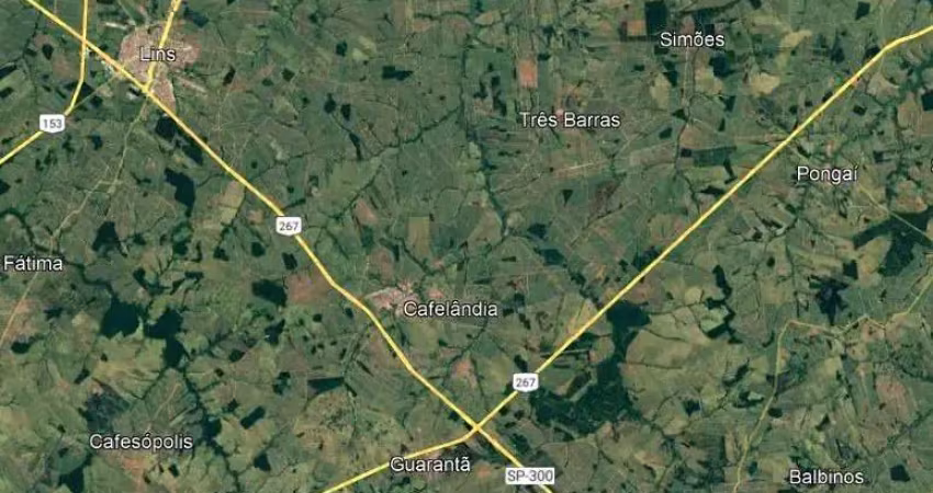 Fazenda na pecuária para venda na região de cafelândia-sp com 105 alqueires boa de infraestrutura é boa de água