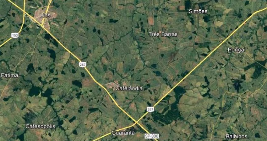 Fazenda na pecuária para venda na região de Cafelândia-SP com 105 alqueires boa de infraestrutura é boa de água