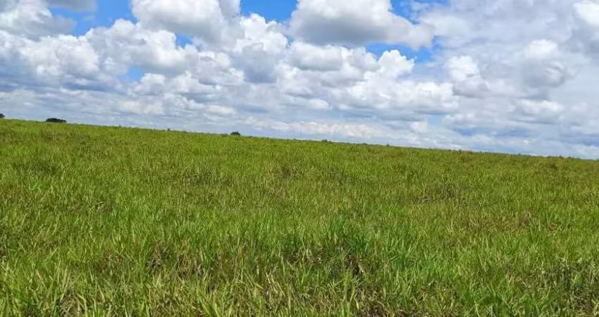 Fazenda dupla aptidao para venda na região de jales-sp com 77 alqueires sendo 63 alqueires em cana arrendada