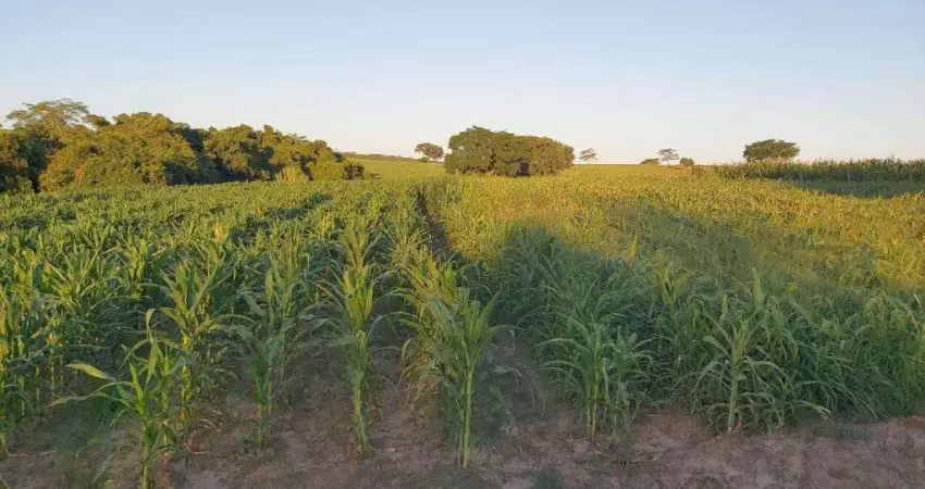Sitio dupla aptidão para venda na região de jales-sp com 25,50 alqueires sedo 1 alqueires em cana arrendada, boa de benfeitorias, represa