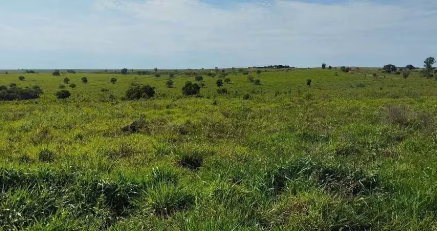 Fazenda para venda na região de sonora-ms com 342 alqueires montada na pecuária, rica em agua e benfeitorias