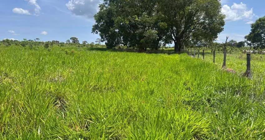 Fazenda dupla aptidão para venda na região de campo grande-ms com 163 alqueires, atual na pecuária, rica em agua, ideal para lavoura de soja