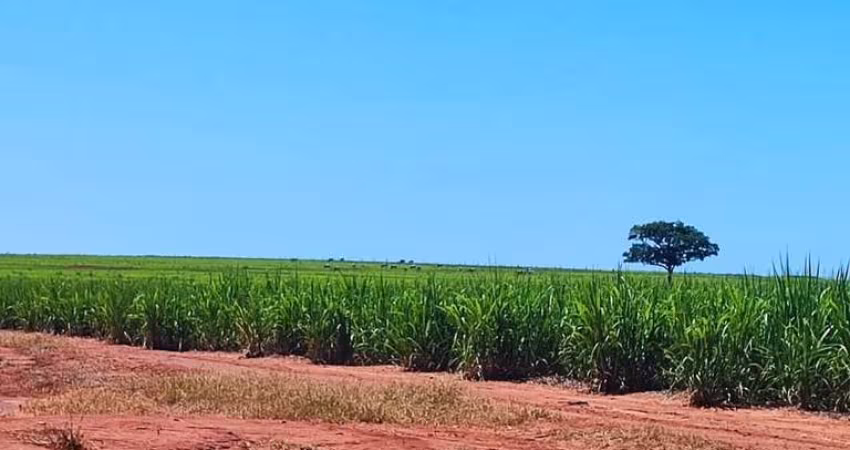 Fazenda para venda na região de Presidente Venceslau-SP com 95 alqueires sendo 70 alqueires em cana arrendada, benfeitorias