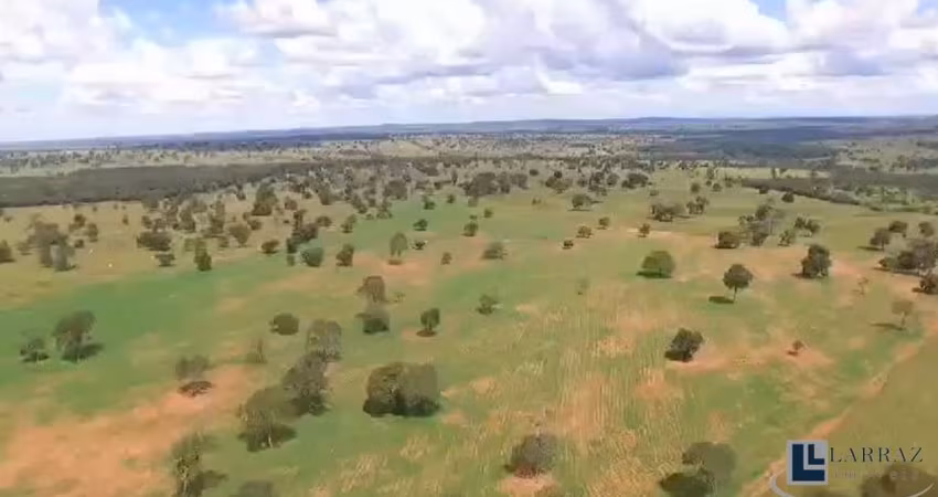 Ótima fazenda na pecuaria para venda em Itaruma-GO com 503 hectares, benfeitorias, boa de agua e topografia plana