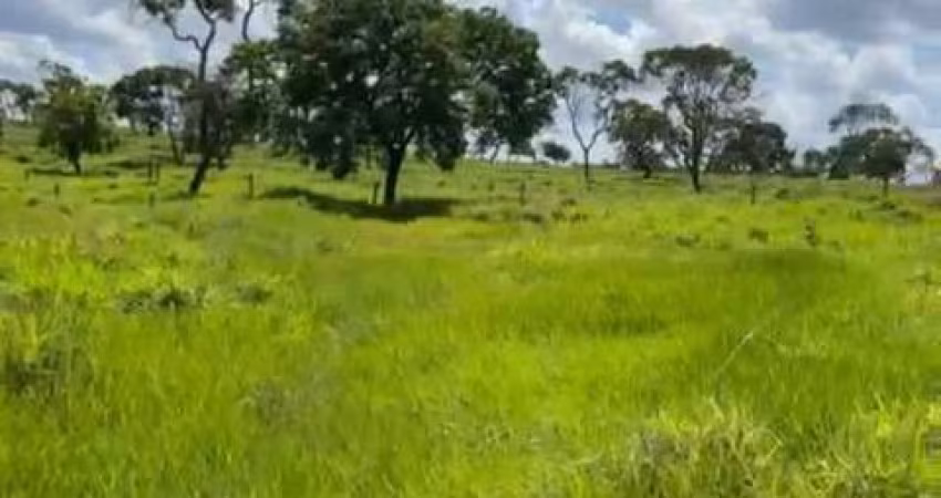 Sitio para venda em Campina Verde-MG com 61 hectares na pecuária, muito bom de agua e benfeitorias