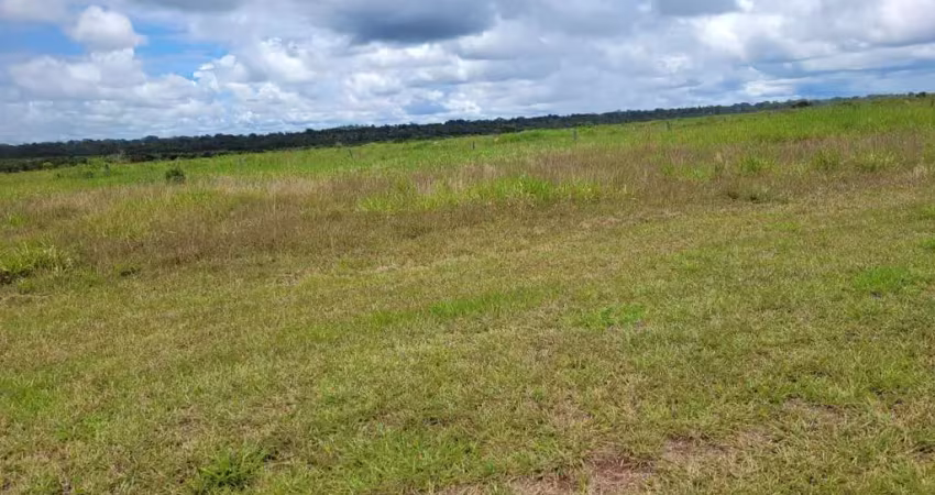 Fazenda dupla aptidao para venda na região de matupa-mt com 35.000 hectares montada na pecuária, rica em agua e benfeitorias