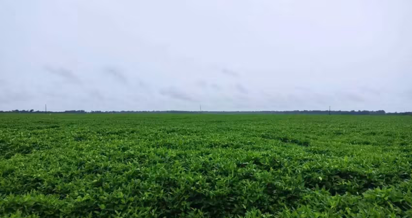 Fazenda para venda na região de porto alegre do norte-mt com 992 hectares sendo 590 hectares na soja, boa de benfeitorias e rica em agua