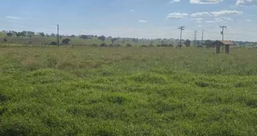 Fazenda dupla aptidao para venda na região de Jales-SP com 90 alqueires na pastagem, planta 80 alqueires, benfeitorias