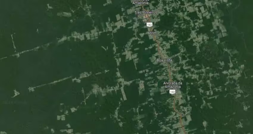 Fazenda dupla aptidão para venda na região de novo progresso-pa com 4.950 hectares sendo 2.500 hectares abertos